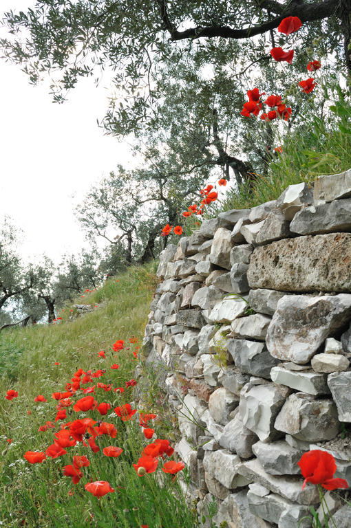 فيلا Agriturismo "Antico Frantoio" فولينيو المظهر الخارجي الصورة